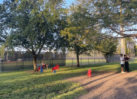 Flamingo Bark Park